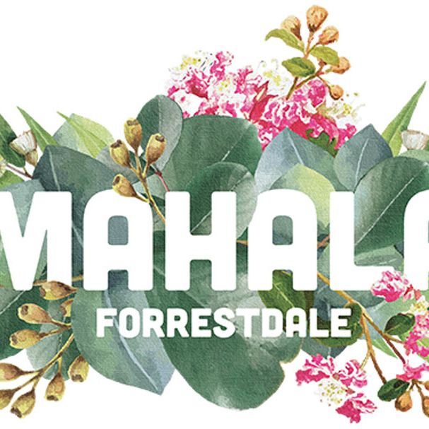Mahala to boast super-speed connections with Opticomm