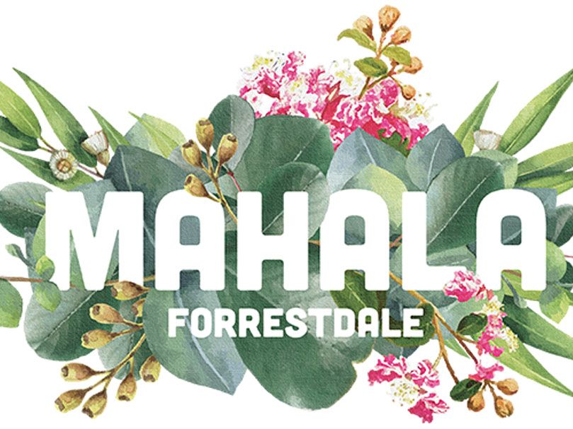 Mahala to boast super-speed connections with Opticomm