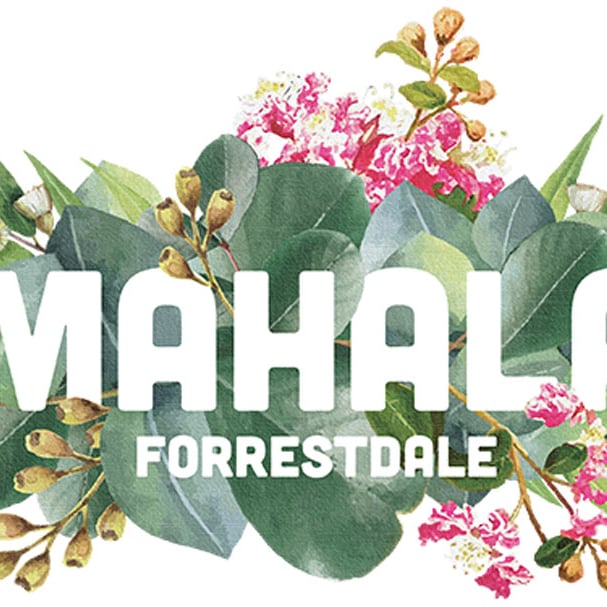 Mahala to boast super-speed connections with Opticomm